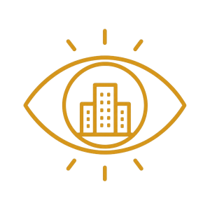vision